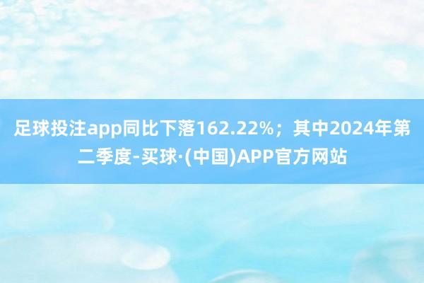 足球投注app同比下落162.22%；其中2024年第二季度-买球·(中国)APP官方网站