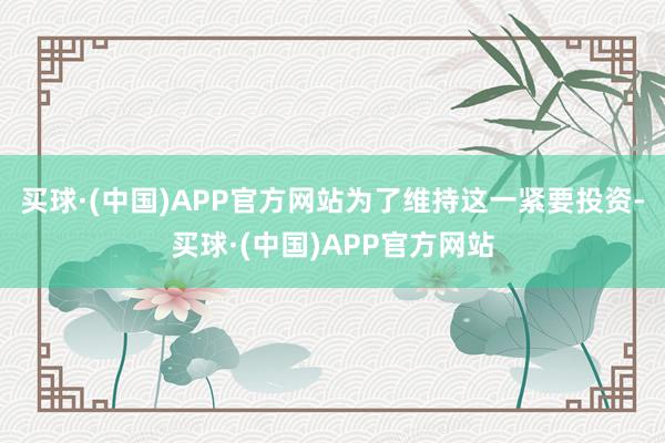 买球·(中国)APP官方网站为了维持这一紧要投资-买球·(中国)APP官方网站