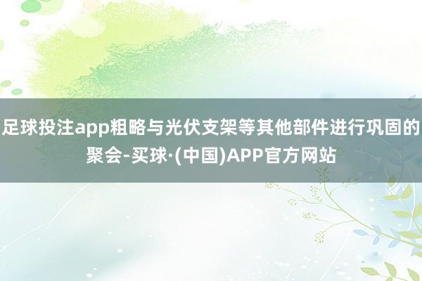 足球投注app粗略与光伏支架等其他部件进行巩固的聚会-买球·(中国)APP官方网站