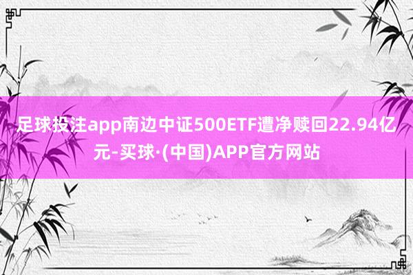 足球投注app南边中证500ETF遭净赎回22.94亿元-买球·(中国)APP官方网站