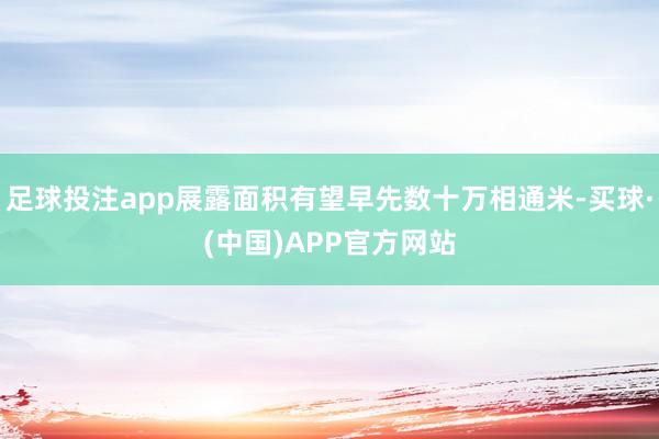 足球投注app展露面积有望早先数十万相通米-买球·(中国)APP官方网站