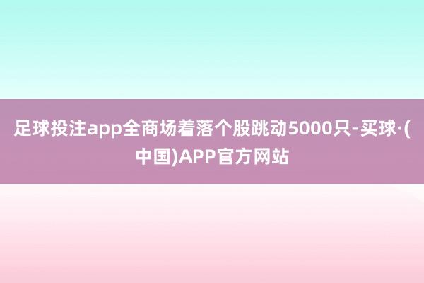 足球投注app全商场着落个股跳动5000只-买球·(中国)APP官方网站