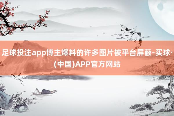 足球投注app博主爆料的许多图片被平台屏蔽-买球·(中国)APP官方网站