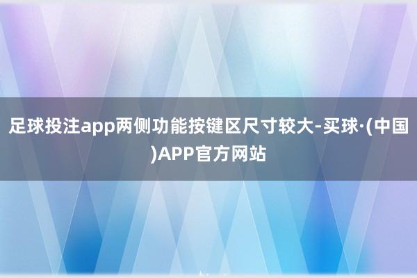 足球投注app两侧功能按键区尺寸较大-买球·(中国)APP官方网站