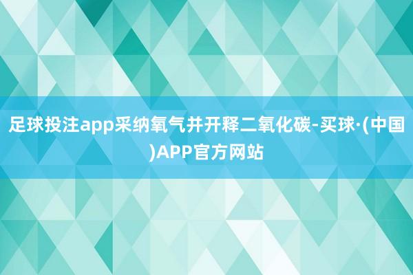 足球投注app采纳氧气并开释二氧化碳-买球·(中国)APP官方网站