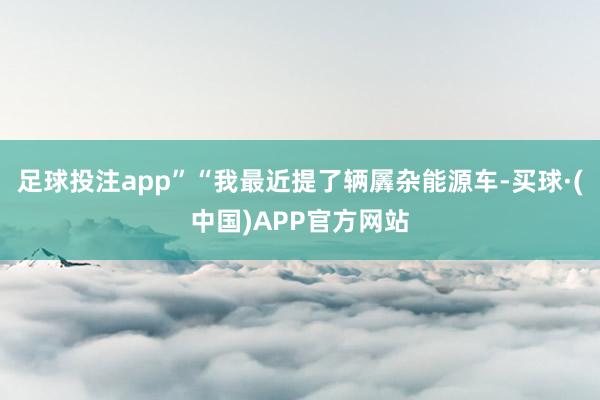 足球投注app”“我最近提了辆羼杂能源车-买球·(中国)APP官方网站