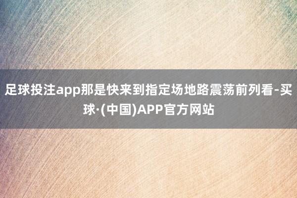 足球投注app那是快来到指定场地路震荡前列看-买球·(中国)APP官方网站