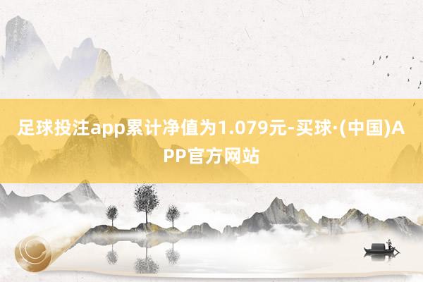 足球投注app累计净值为1.079元-买球·(中国)APP官方网站