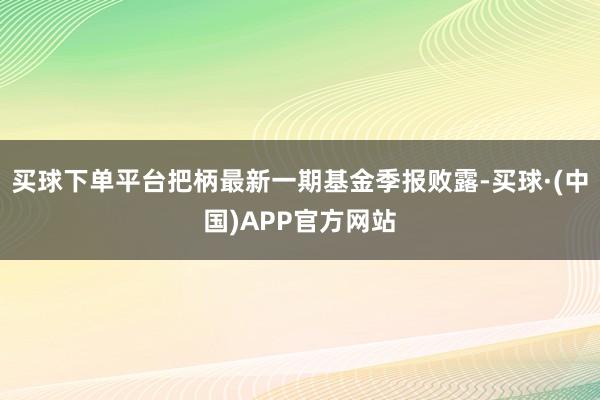 买球下单平台把柄最新一期基金季报败露-买球·(中国)APP官方网站