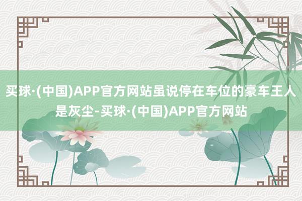 买球·(中国)APP官方网站虽说停在车位的豪车王人是灰尘-买球·(中国)APP官方网站