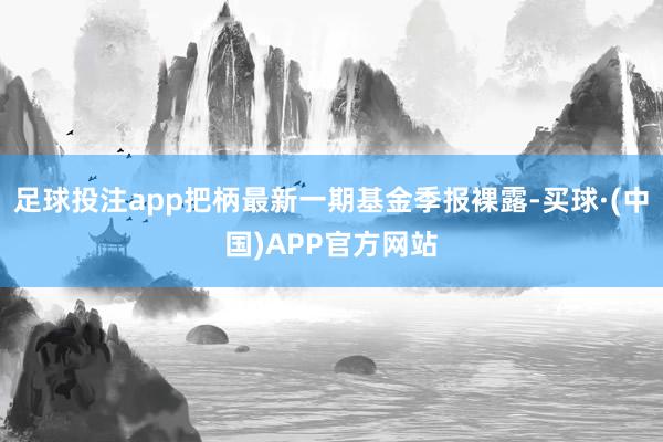 足球投注app把柄最新一期基金季报裸露-买球·(中国)APP官方网站