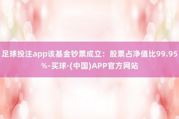 足球投注app该基金钞票成立：股票占净值比99.95%-买球·(中国)APP官方网站