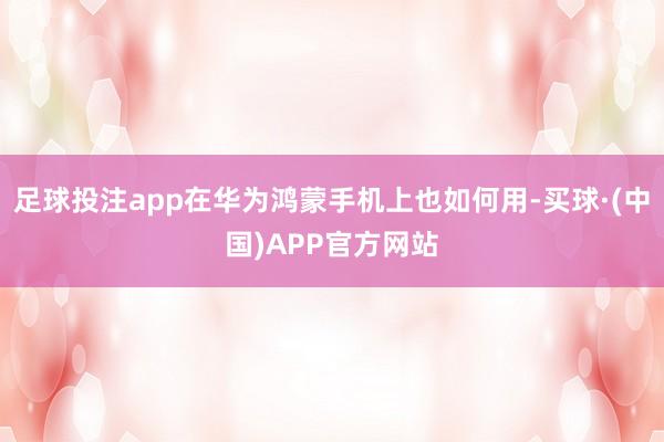 足球投注app在华为鸿蒙手机上也如何用-买球·(中国)APP官方网站