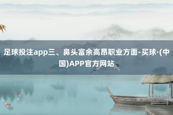 足球投注app三、鼻头富余高昂职业方面-买球·(中国)APP官方网站