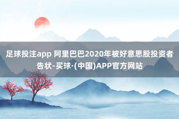 足球投注app 　　阿里巴巴2020年被好意思股投资者告状-买球·(中国)APP官方网站