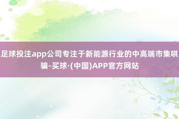 足球投注app公司专注于新能源行业的中高端市集哄骗-买球·(中国)APP官方网站