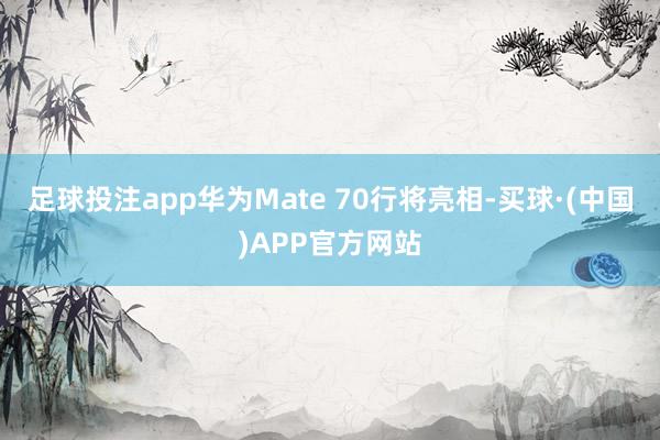 足球投注app华为Mate 70行将亮相-买球·(中国)APP官方网站