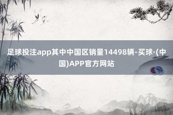 足球投注app其中中国区销量14498辆-买球·(中国)APP官方网站