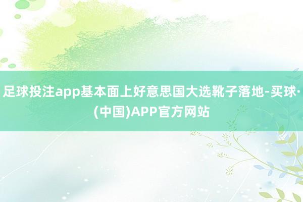 足球投注app基本面上好意思国大选靴子落地-买球·(中国)APP官方网站