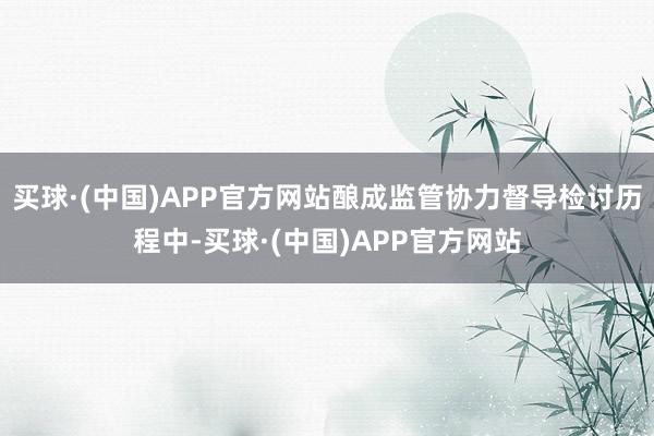 买球·(中国)APP官方网站酿成监管协力督导检讨历程中-买球·(中国)APP官方网站