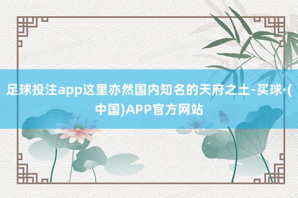 足球投注app这里亦然国内知名的天府之土-买球·(中国)APP官方网站