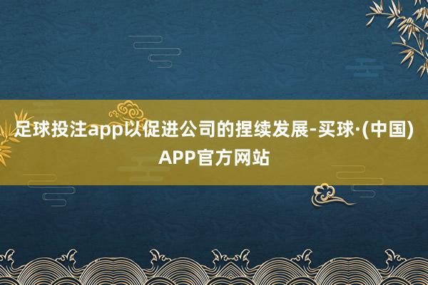 足球投注app以促进公司的捏续发展-买球·(中国)APP官方网站