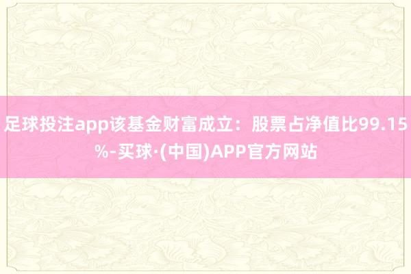 足球投注app该基金财富成立：股票占净值比99.15%-买球·(中国)APP官方网站