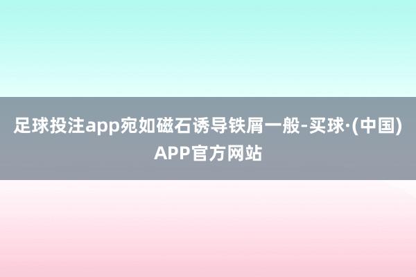 足球投注app宛如磁石诱导铁屑一般-买球·(中国)APP官方网站