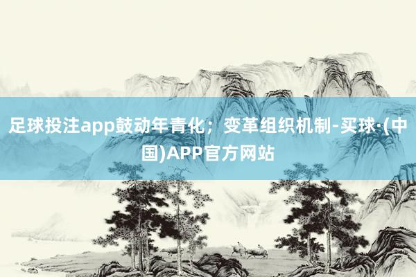 足球投注app鼓动年青化；变革组织机制-买球·(中国)APP官方网站