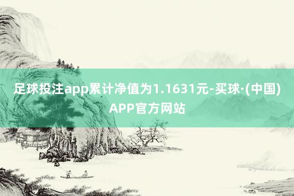 足球投注app累计净值为1.1631元-买球·(中国)APP官方网站