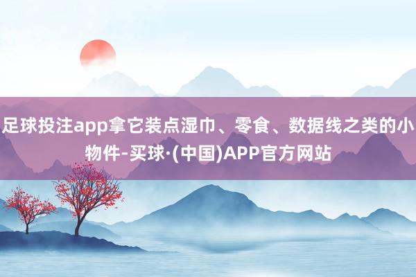 足球投注app拿它装点湿巾、零食、数据线之类的小物件-买球·(中国)APP官方网站