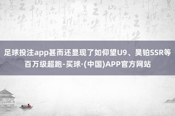 足球投注app甚而还显现了如仰望U9、昊铂SSR等百万级超跑-买球·(中国)APP官方网站