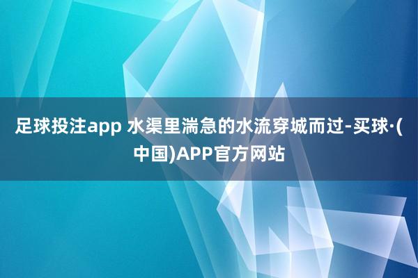 足球投注app 水渠里湍急的水流穿城而过-买球·(中国)APP官方网站