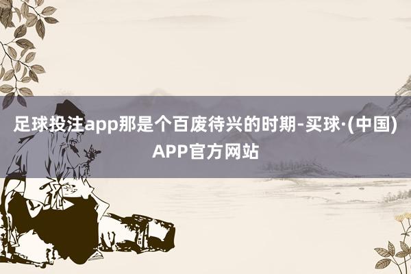 足球投注app那是个百废待兴的时期-买球·(中国)APP官方网站