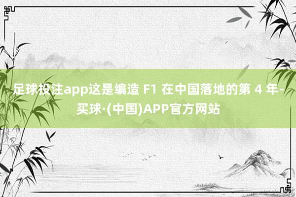 足球投注app这是编造 F1 在中国落地的第 4 年-买球·(中国)APP官方网站