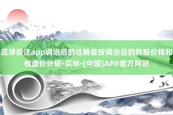 足球投注app调治后的往畴昔按调治后的转股价钱和收盘价计较-买球·(中国)APP官方网站