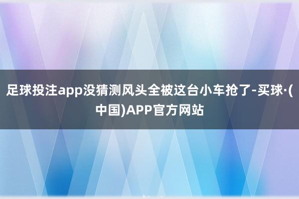 足球投注app没猜测风头全被这台小车抢了-买球·(中国)APP官方网站