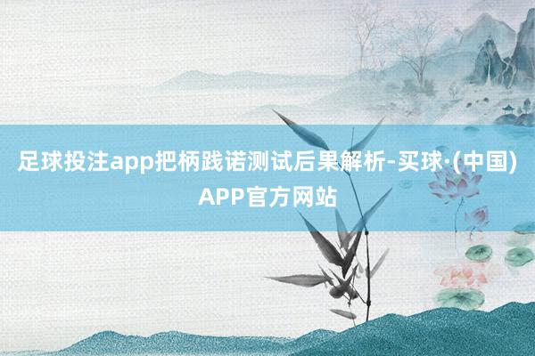 足球投注app把柄践诺测试后果解析-买球·(中国)APP官方网站