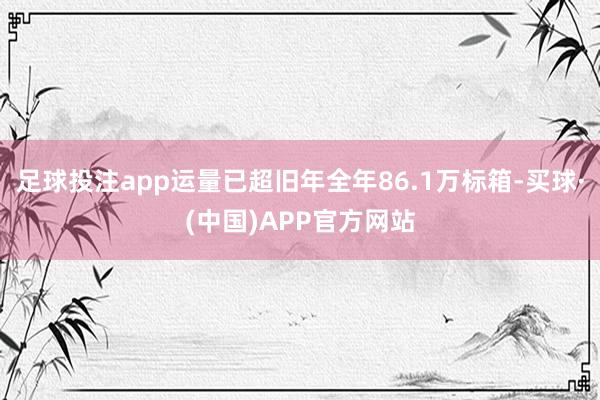 足球投注app运量已超旧年全年86.1万标箱-买球·(中国)APP官方网站