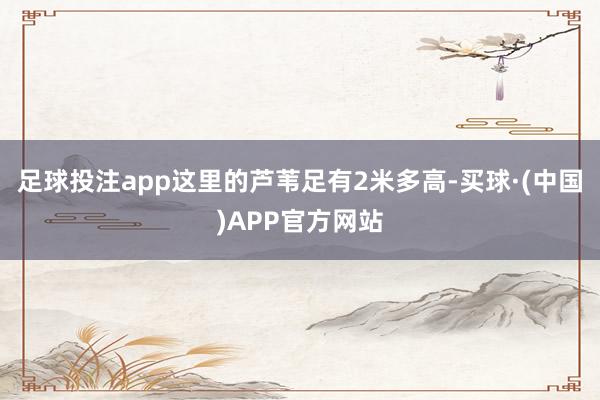 足球投注app这里的芦苇足有2米多高-买球·(中国)APP官方网站