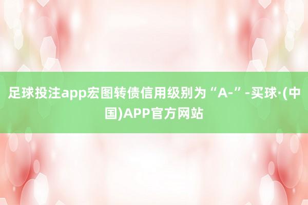 足球投注app宏图转债信用级别为“A-”-买球·(中国)APP官方网站