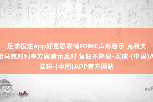 足球投注app好意思联储FOMC声彰着示 克利夫兰联储主席哈马克对利率方案暗示反对 复旧不降息-买球·(中国)APP官方网站