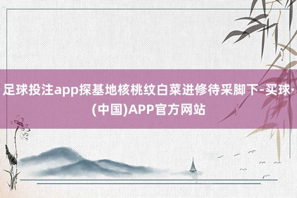 足球投注app探基地核桃纹白菜进修待采脚下-买球·(中国)APP官方网站