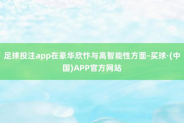 足球投注app在豪华欣忭与高智能性方面-买球·(中国)APP官方网站