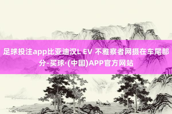 足球投注app比亚迪汉L EV 不雅察者网摄在车尾部分-买球·(中国)APP官方网站