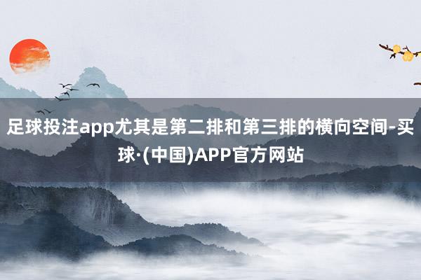 足球投注app尤其是第二排和第三排的横向空间-买球·(中国)APP官方网站