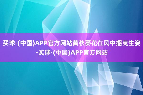 买球·(中国)APP官方网站黄秋葵花在风中摇曳生姿-买球·(中国)APP官方网站